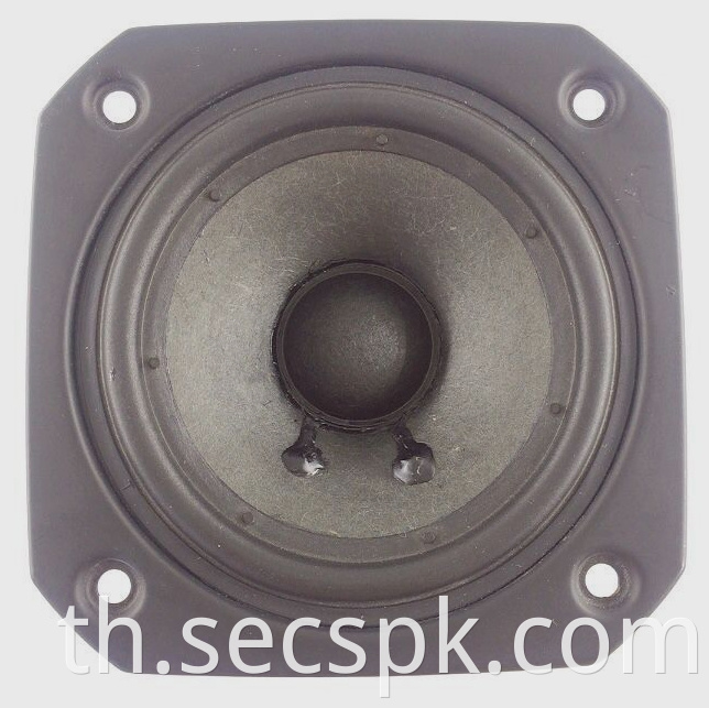 4 Ohm Square Speaker